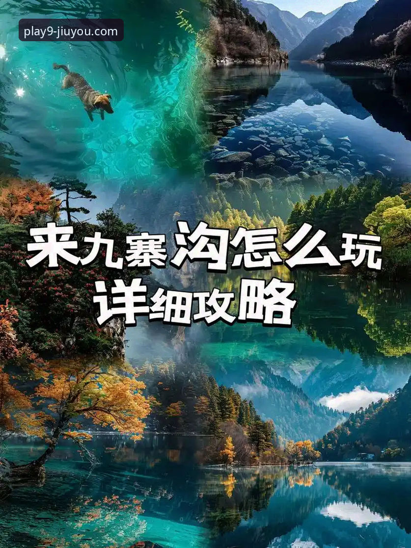 资深玩家亲测：九游手游平台怎么样？这份实用指南告诉你答案